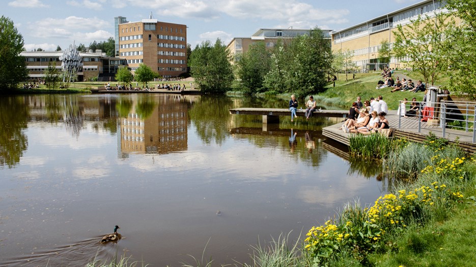 Gå till sida Dubbelt så många antagna till sommarkurser vid Umeå universitet