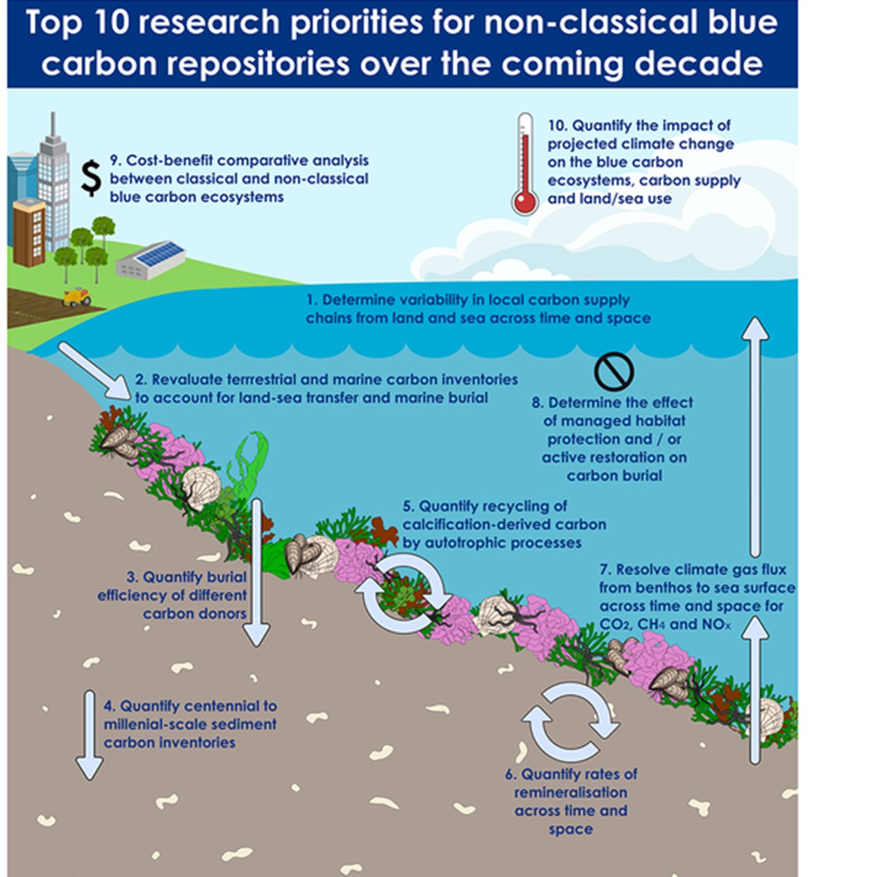 Illustration över ett kustområde där tio olika forskningsområden som bör prioriteras har skrivits in.