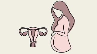 Illustration av en gravid kvinna bredvid en livmoder med äggstockar och äggledare.