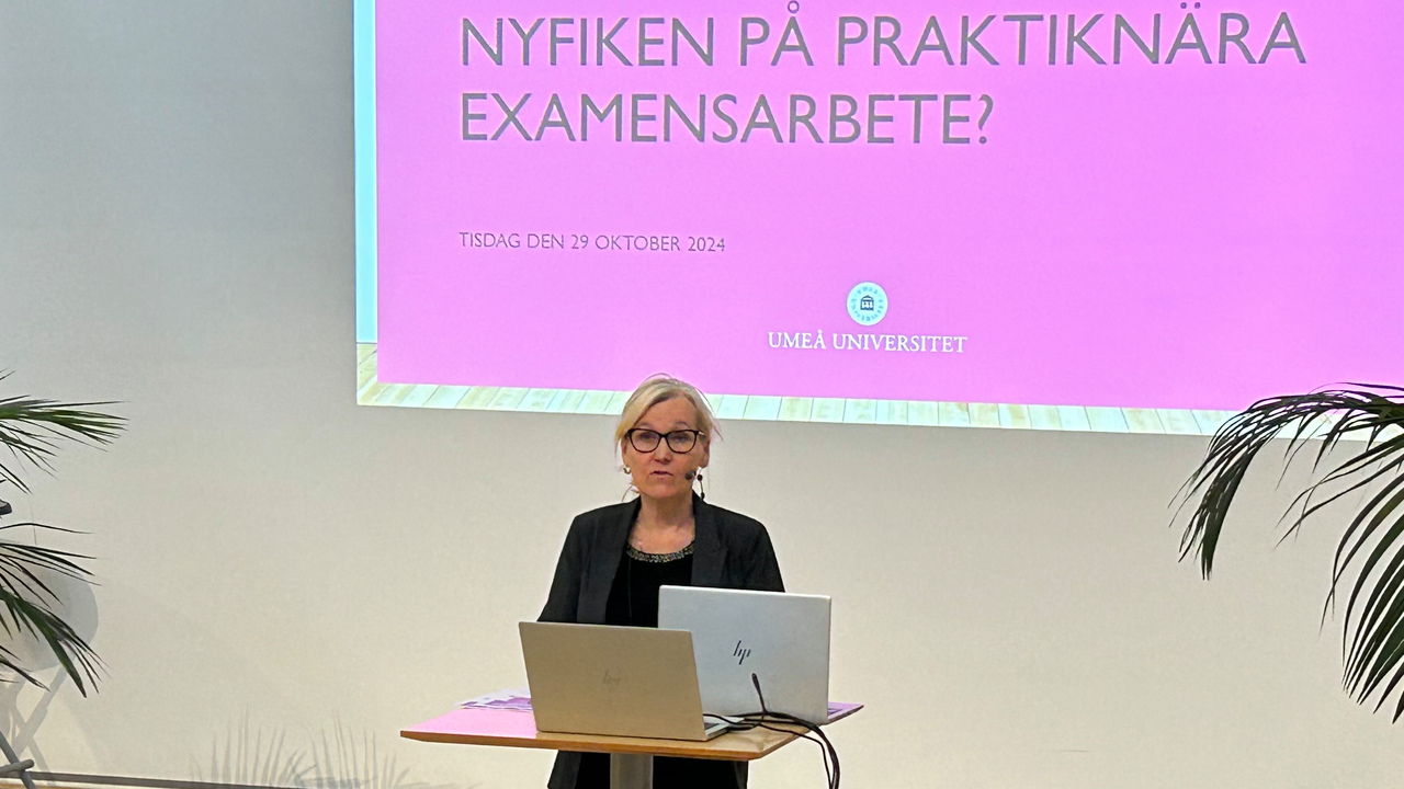 Vicerektor Cathrine Norberg står på Lärarhögskolans scen och presenterar med texten Nyfiken på praktiknära examensarbete? i bakgrunden.