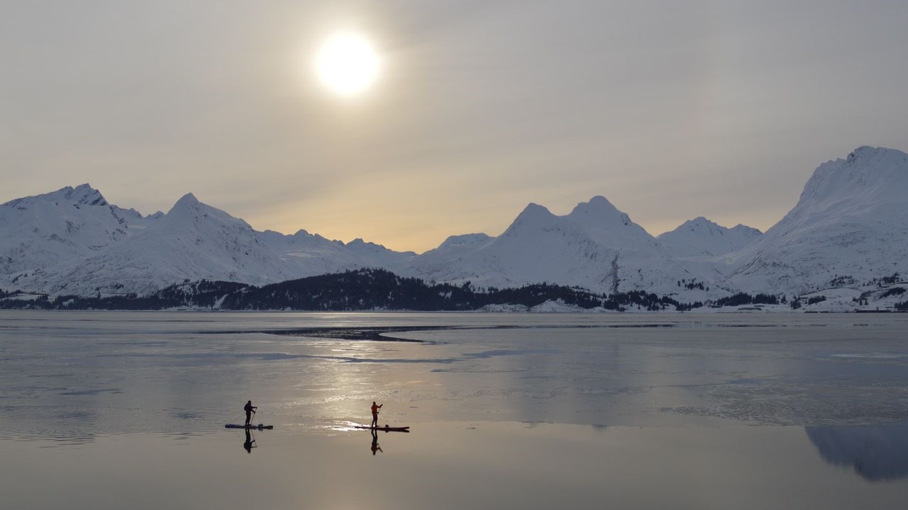 Två personer står i vattnet på stand-up paddle boards med isberg i bakgrunden