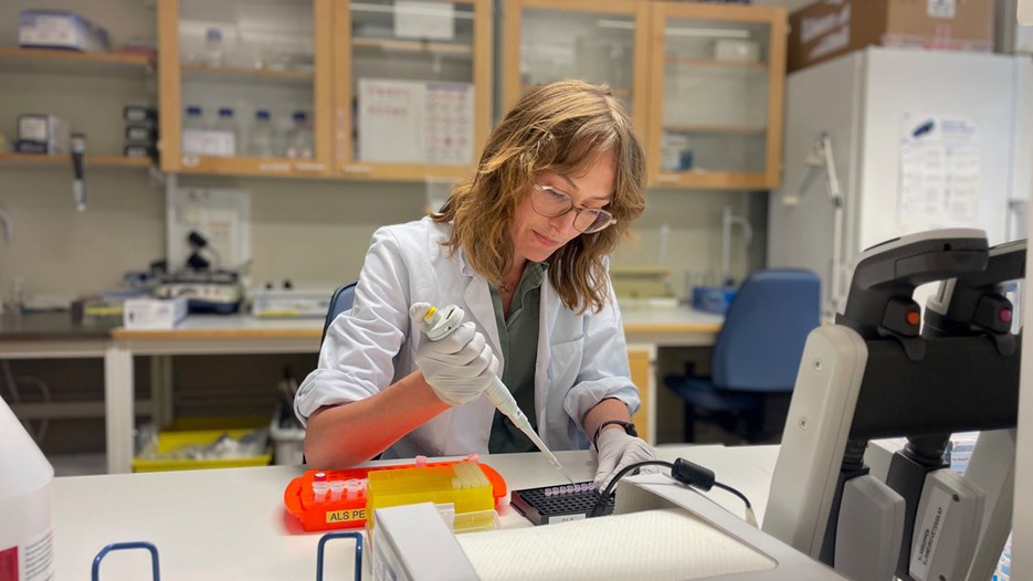 Angelica Nordin is seen pipetting samples in microcentrifuge tubes at her lab bench.