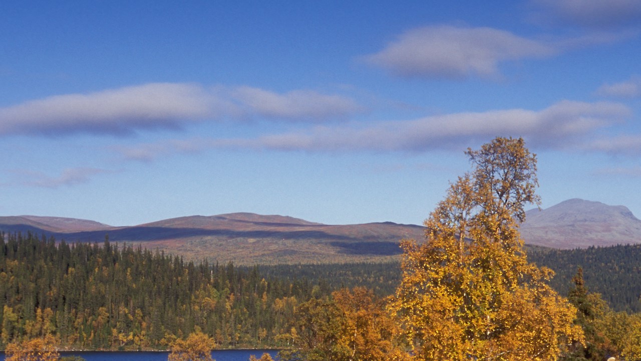 Bild från Fatmomakke