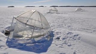 Ställningar med plastsäckar i som ligger placerade i havet.