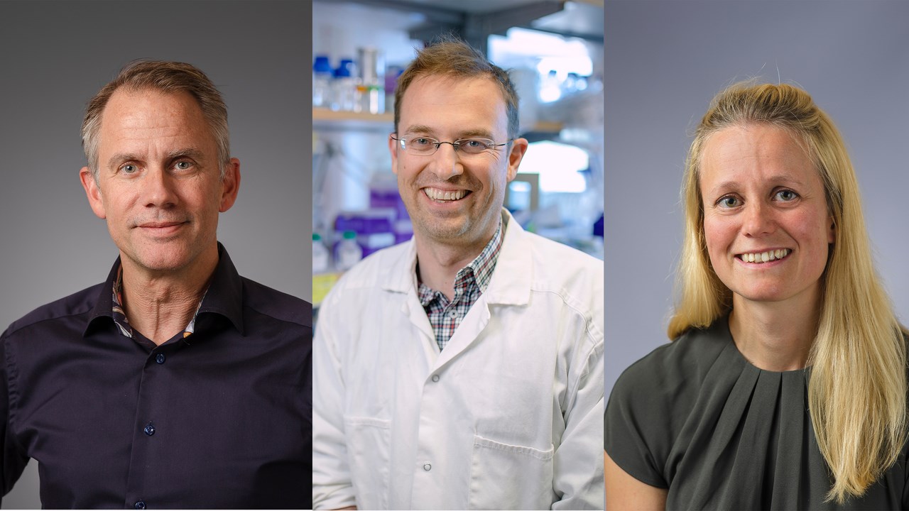 Three virus researchers vinn prize