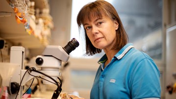 Professor Ruth Palmer arbetar vid Göteborgs universitet på avdelningen för medicinsk kemi och cellbiologi.