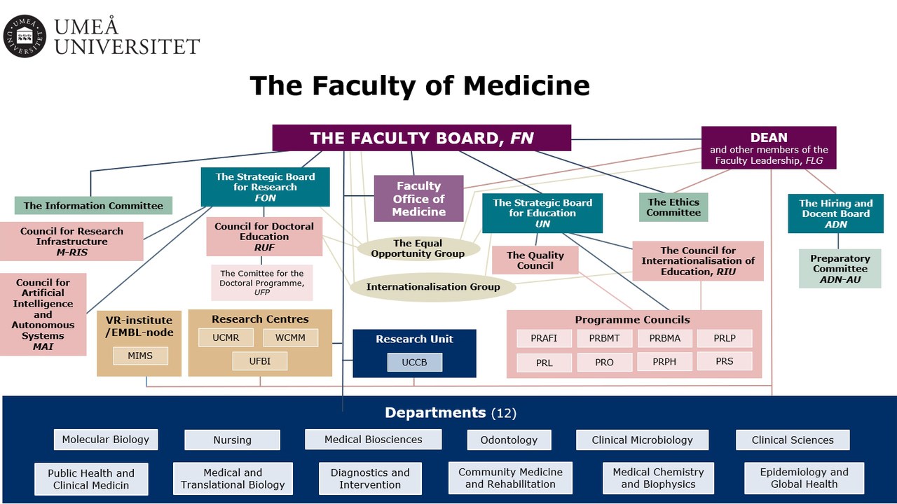 Faculty of Medicine