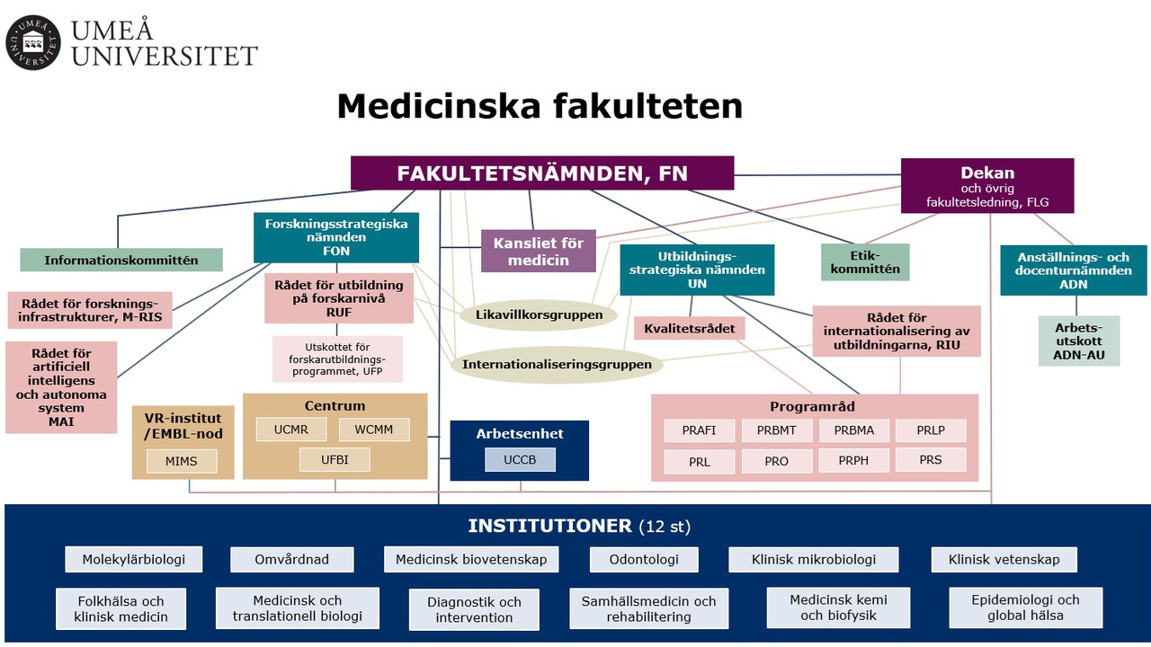 Medicinska fakulteten