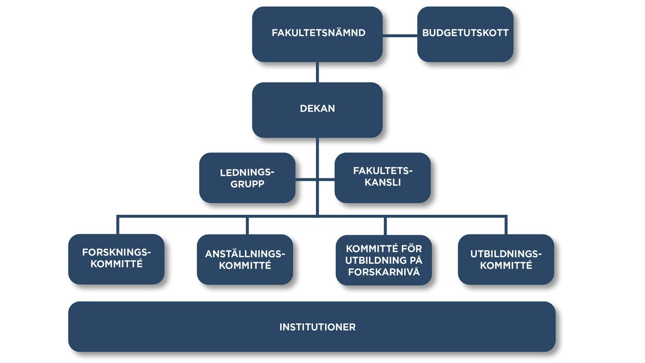 Organisationsskiss