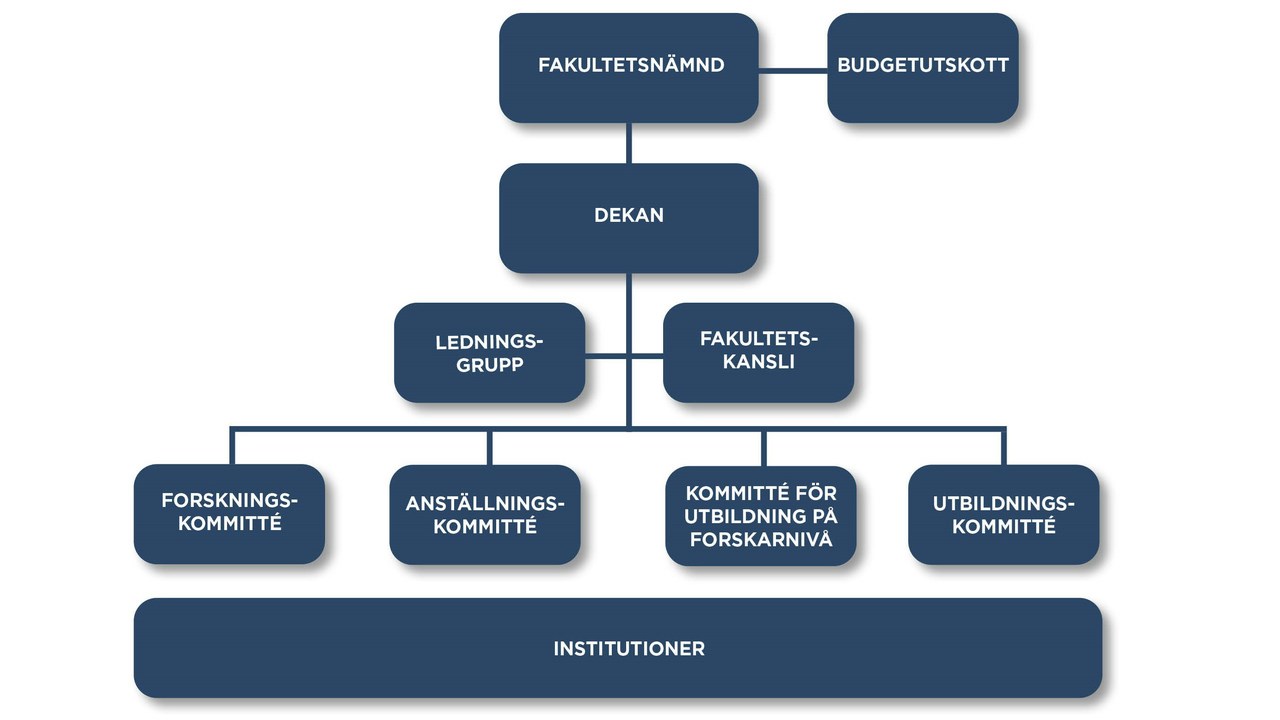 Organisationsskiss