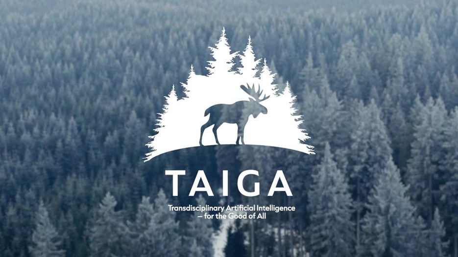 TAIGA logo over aerial view of a forest in winter