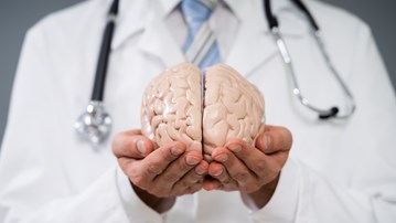 Läkare med en modell av en hjärna i sina händer.