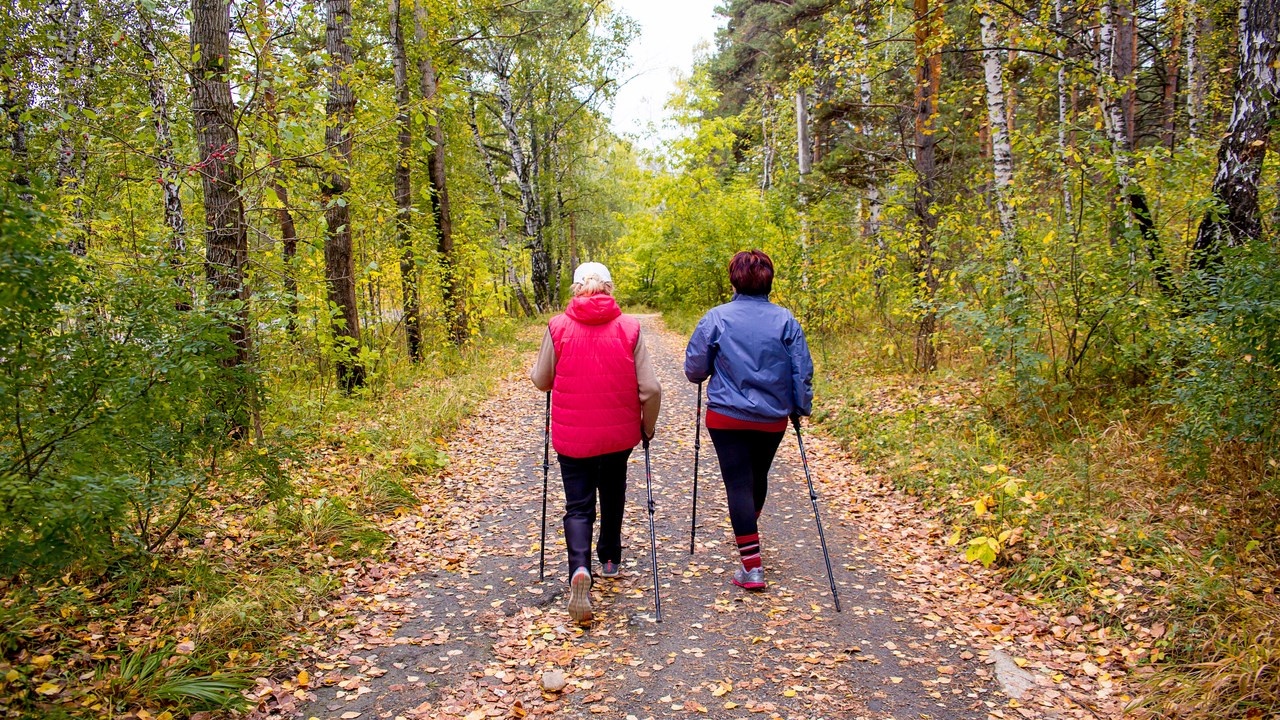 Unga äldre kvinnor går stavgång i skog med höstlöv