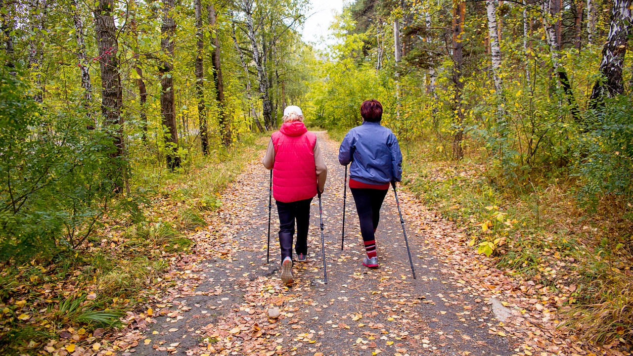 Unga äldre kvinnor går stavgång i skog med höstlöv