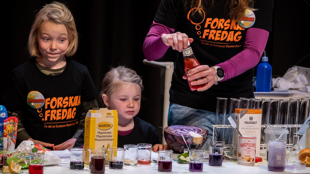 Lena Lassinantti, Josy ter Beek, and her children experiment together at Curiosums ForskarFredag Digital 2020