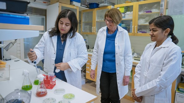 Saumita Chakravarty, postdoktor, Christiane Funk, professor, och Vaishali Rana, postdoktor.