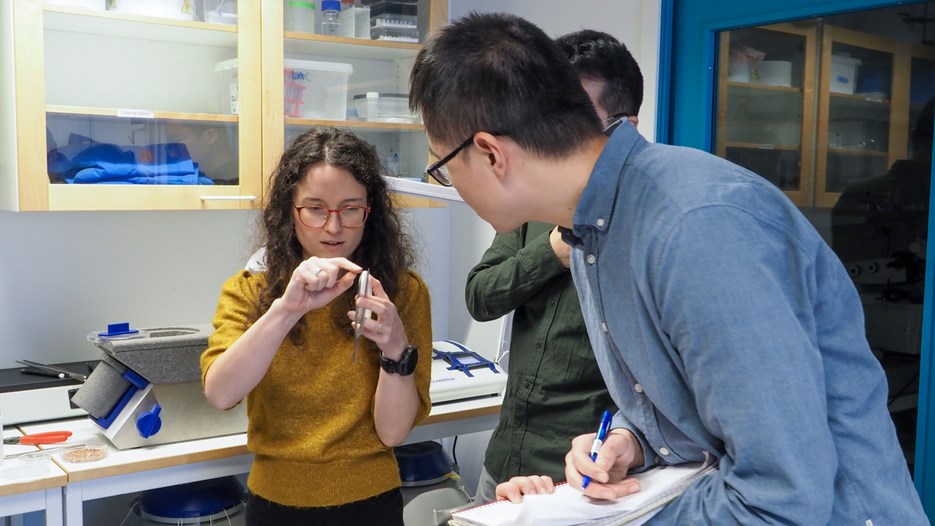 Students standing around the teacher in a lab, the teacher shows different tools to be used. Some students take notes.