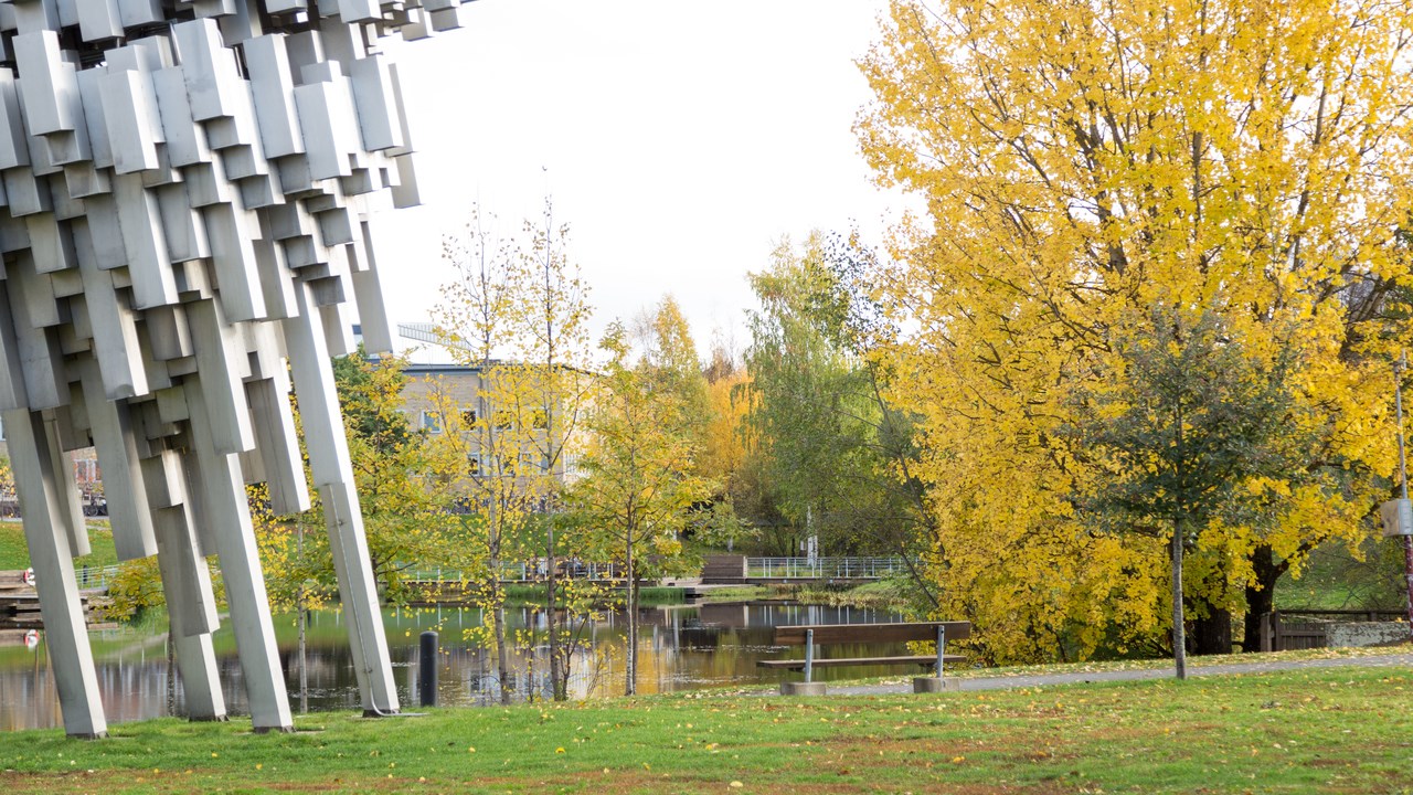 Höstfärger på campus.