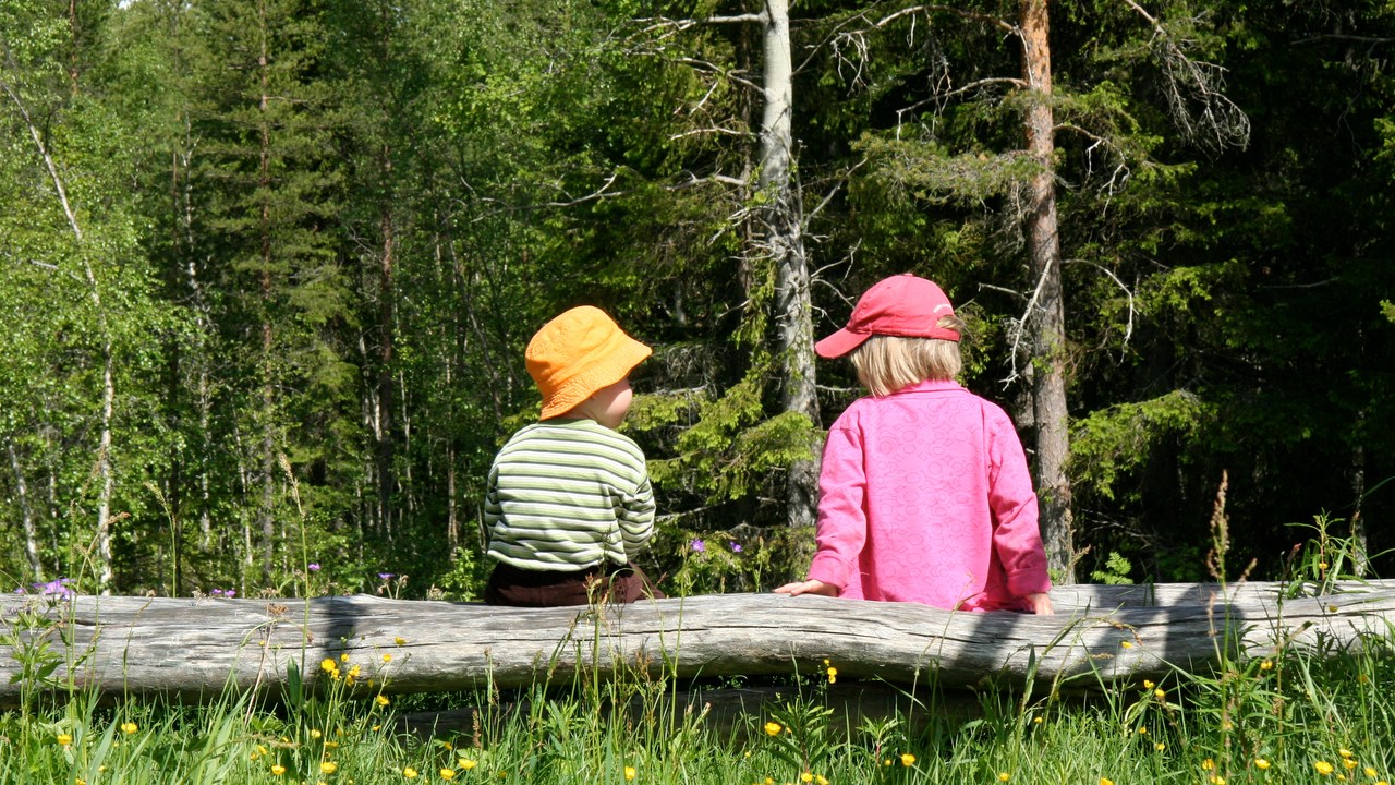 Bild på barn i skogen