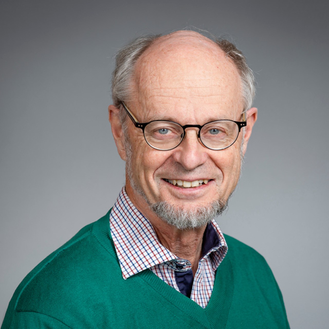 Porträtt på Bengt Järvholm, professor vid Institutionen för folkhälsa och klinisk medicin, Umeå universitet.