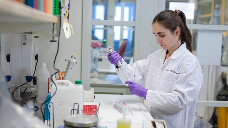 Laura Leykam is standing at her lab bench pipetting the soluble fraction from a microcentrifuge tube.