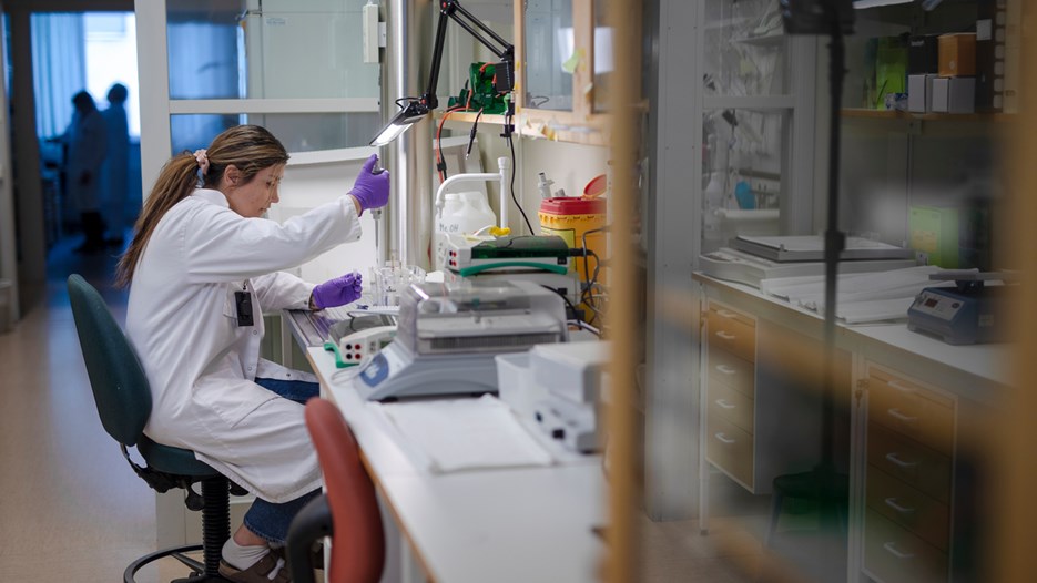 Ani Minasian is seen sitting by a ventilated lab bench, loading samples in a polyacrylamide gel using a pipette.