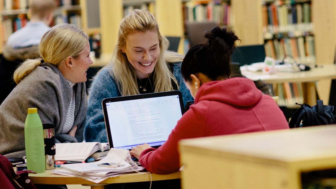 Bild på grupparbetande studenter