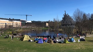 Tält placerade på gräset framför dammen på Campus Umeå.