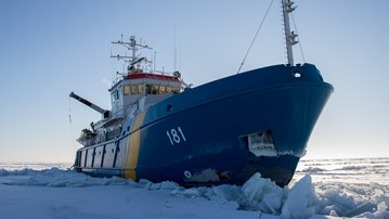 Ett stort blått fartyg märkt 181 stävar fram genom tjock is