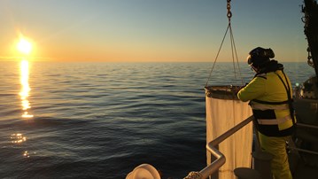 en person står på ett fartygsdäck och övervakar när en djurplanktonhåv tas upp ur vattnet.