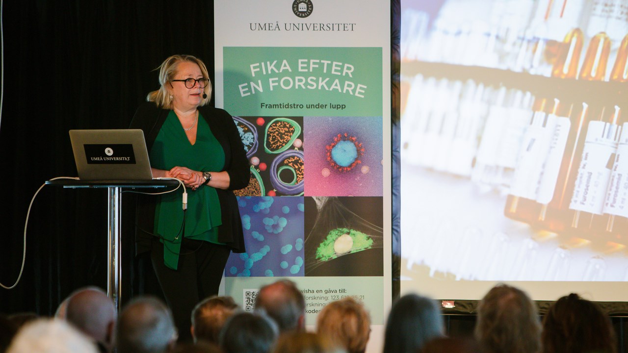 Fika efter en forskareVi bjuder på kunskap och fika. Populärvetenskapliga live-sända seminarier ger dig möjlighet att ta del av spännande medicinsk forskning.