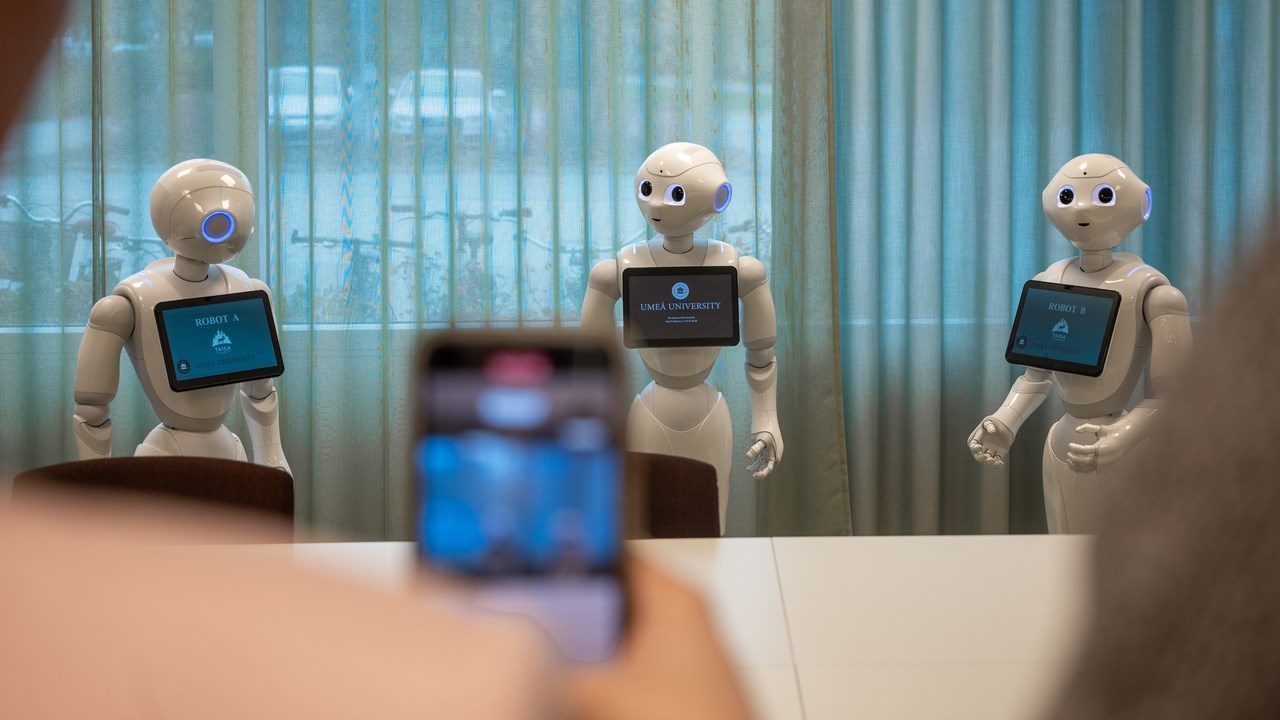 two people looking at 3 pepper robots