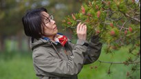 Xiao-Ru Wang, professor vid Institutionen för ekologi, miljö och geovetenskap, Umeå universitet.