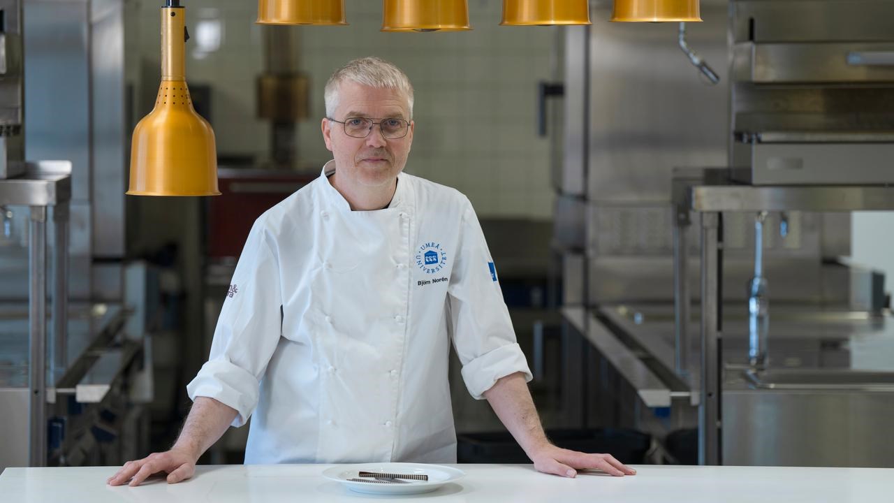 Björn NorénUniversitetsadjunkt vid Institutionen för kost- och måltidsvetenskapRoll: Studierektor