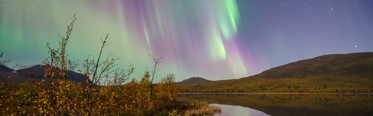 Norrsken på himlen i fjällmiljö.