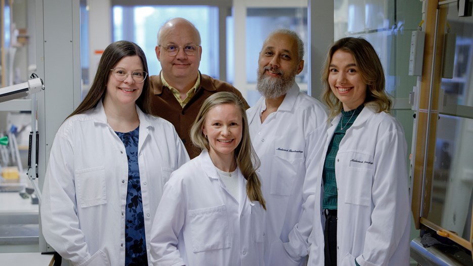 Group photo in the lab: From the left Sara Rimpi, group leader Thomas Brännström, Erica Stenvall, Matthew Marklund and Isabelle Sigfridsson. All are smiling and all exept Thomas are wearing white labcoats. 