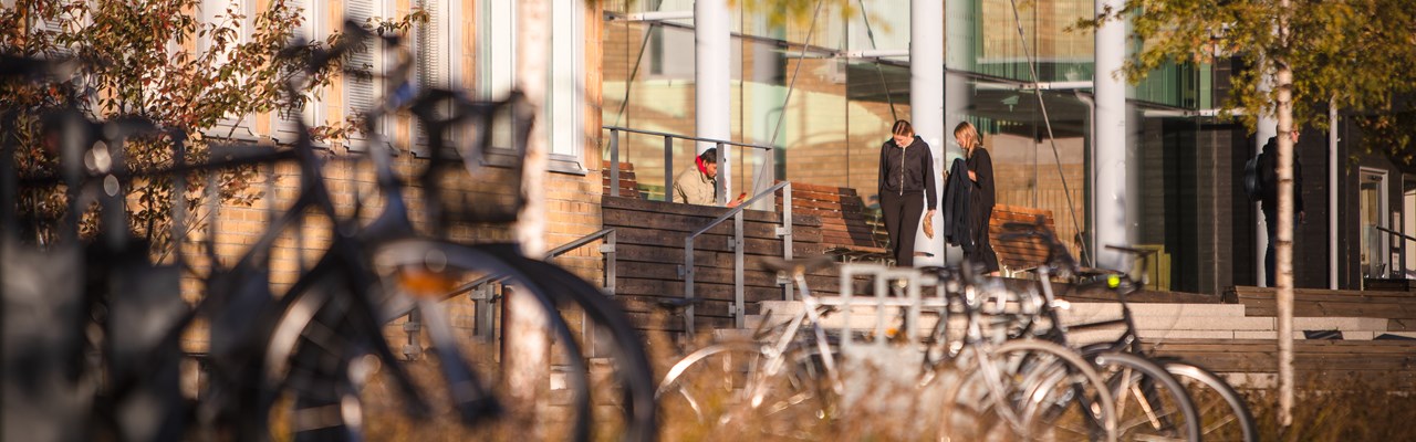 Några personer står och pratar utomhus på campus. Höstfärger i bekgrunden.