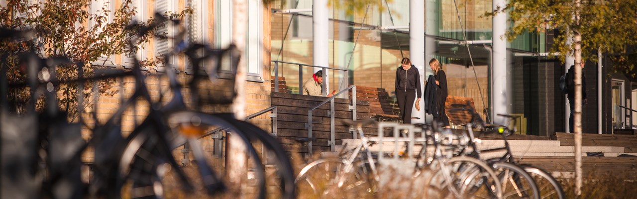 Några personer står och pratar utomhus på campus. Höstfärger i bekgrunden.