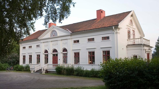 Baggböle manor
