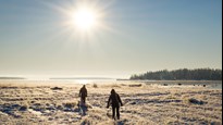 Två personer utforskar den vintriga naturen i Luleå.