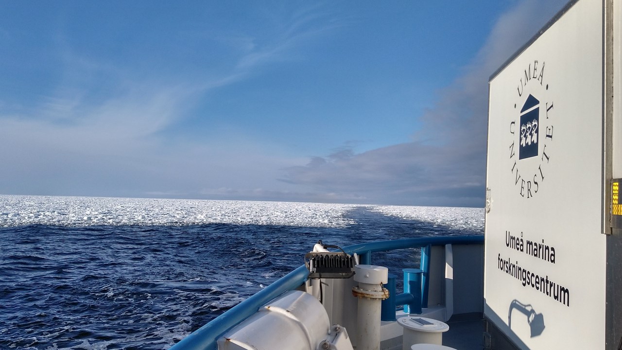 Research vessel from Umeå marine research center