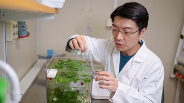 Ryo Morimoto collects snails from the aquarium.