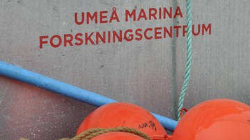 En plåtvägg med Umeå universitets logga och texten Umeå marina forskningscentrum. Flera röda bojar i förgrunden och ett rep som hänger ner
