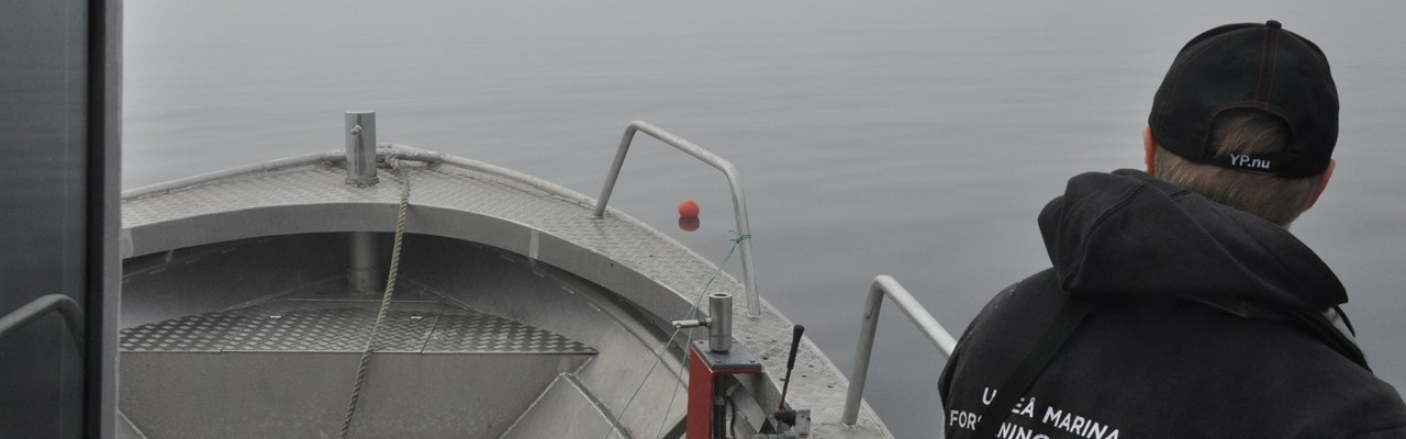 UMF:s båt gråsuggan i dimma