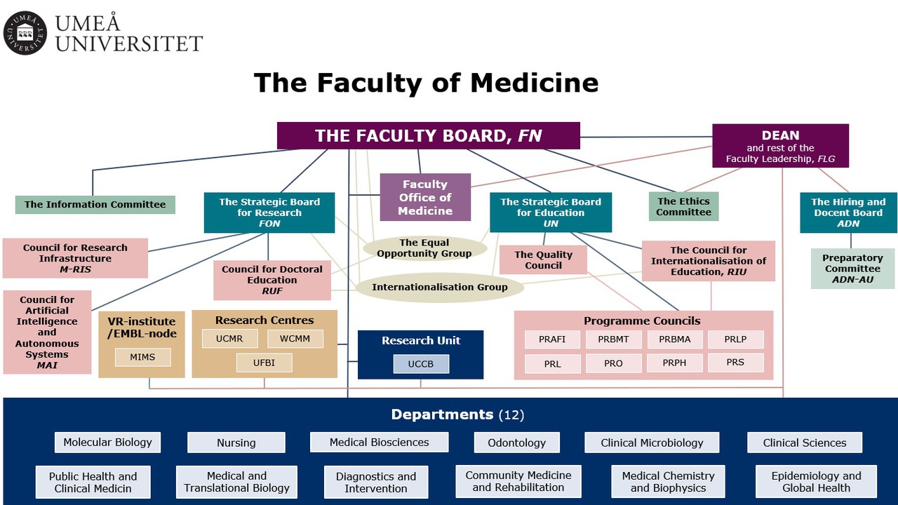 Organisation Faculty of Medicine 2024