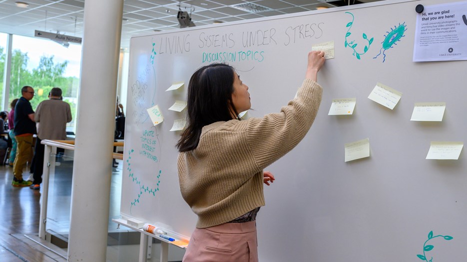 Yun-Ting Jang adds a post-it to a whiteboard