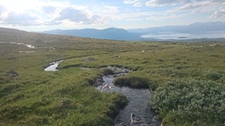 Miellajokka, Abisko.