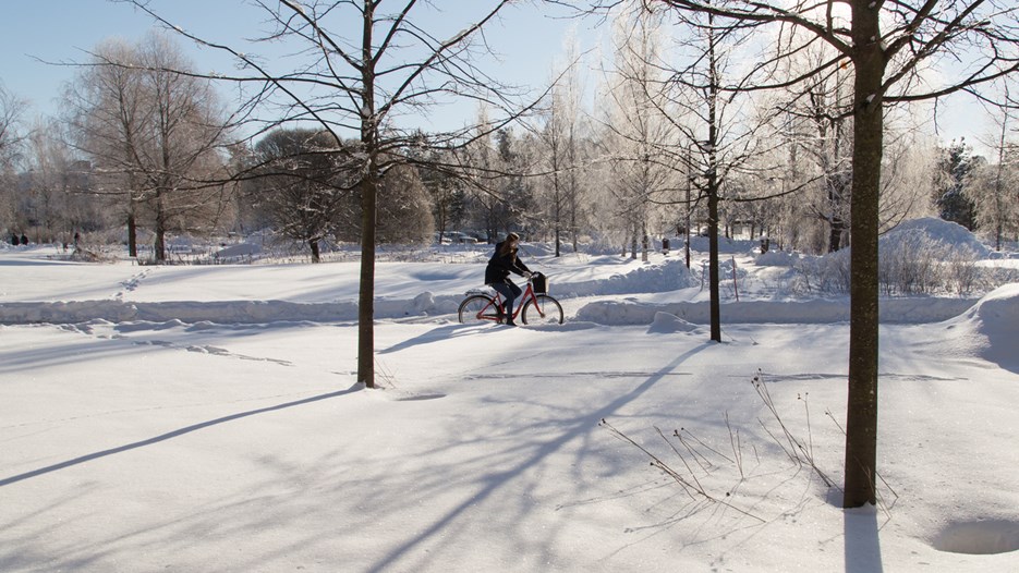 Bild på cyklist på vintercampus