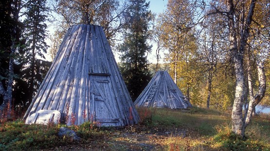 Kåtor i skog