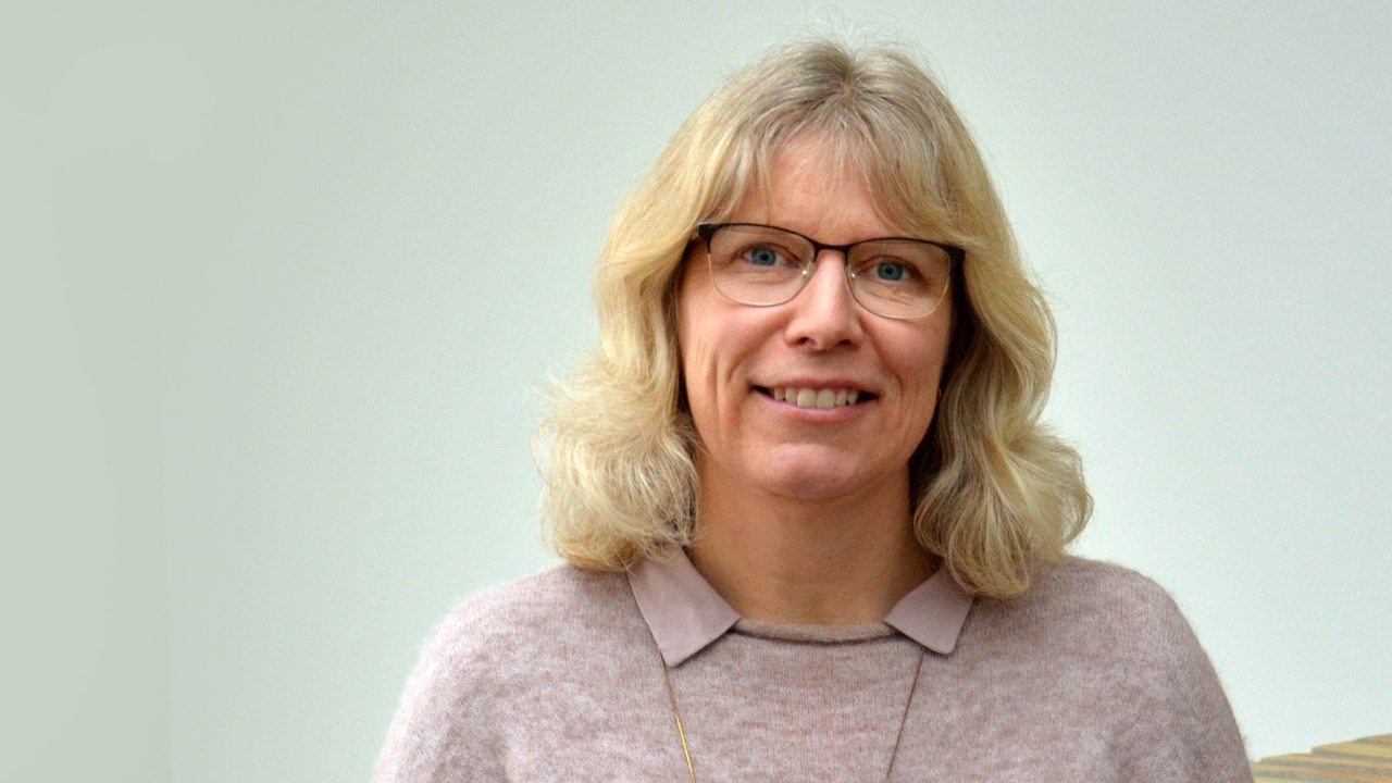 Helen Andersson, Pedagogiska institutionen